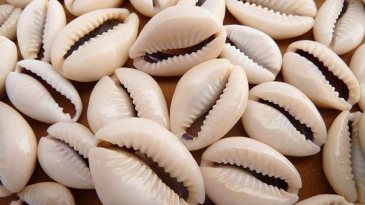 Lifting the Veil on Early India_page21_image3